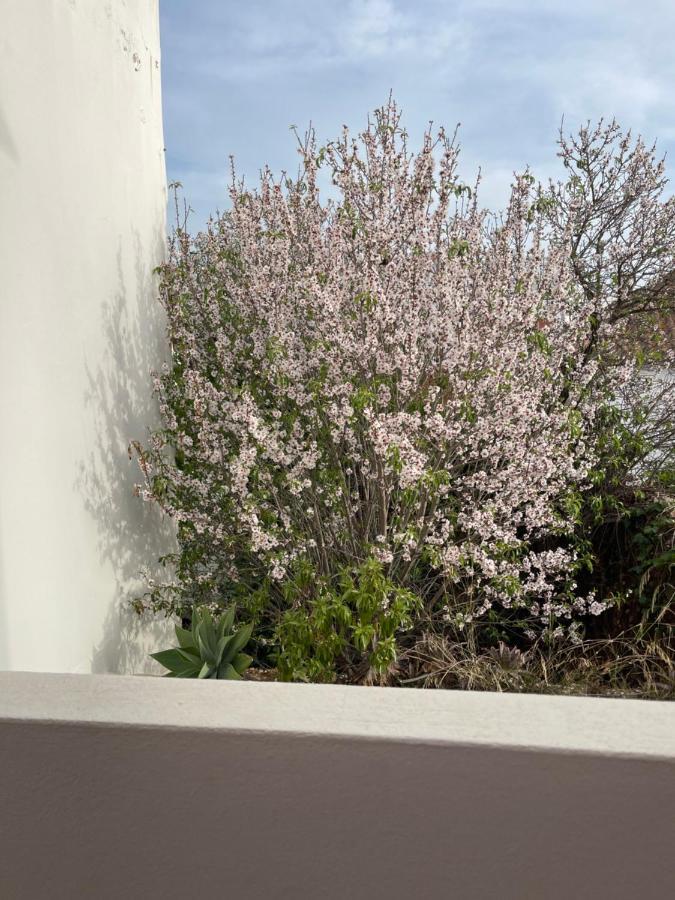 Casa Da Aldeia - Guest House Odiáxere エクステリア 写真